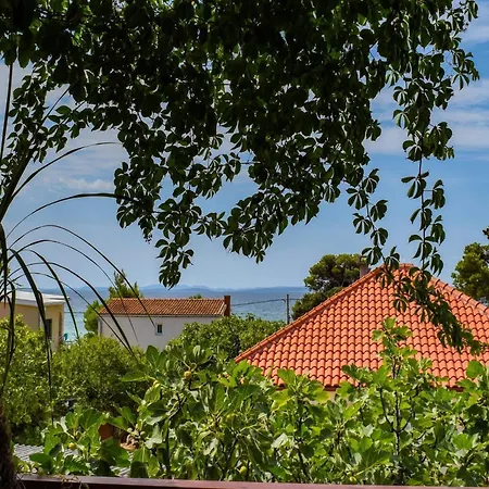 Kostanjevac With Terrace And Sea View Vir